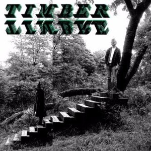 Lay Down in the Tall Grass - Timber Timbre