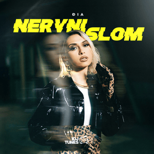 Nervni slom - Đia (SRB)