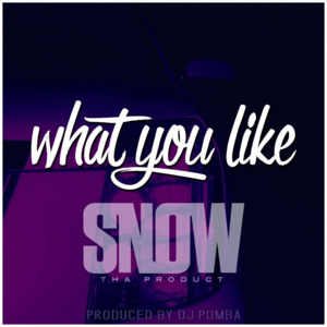 What You Like - Snow Tha Product