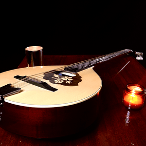 Take Us Home - Colm R. McGuinness