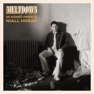 Meltdown (Acoustic) - Niall Horan