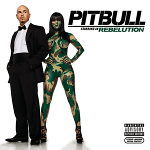 Dope Ball (Interlude) - Pitbull