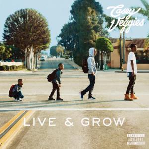 Sincerely Casey - Casey Veggies