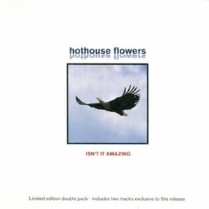 Let Him Know - Hothouse Flowers