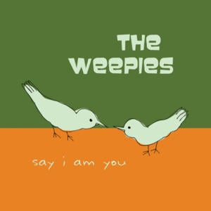 Suicide Blonde - The Weepies