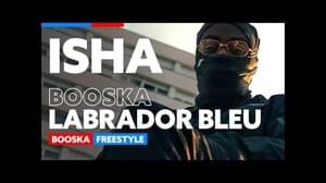 Booska Labrador Bleu - ISHA