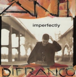 Every State Line - Ani DiFranco