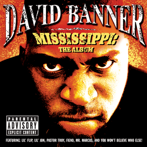 Fire Falling - David Banner