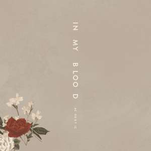 In My Blood (Acoustic) - Shawn Mendes