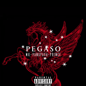 Pegaso - Tauro Boys