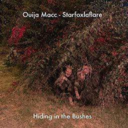 Hiding in the Bushes - Ouija Macc & Starfoxlaflare