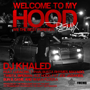 Welcome to My Hood (Remix) - DJ Khaled (Ft. Ace Hood, Birdman, Bun B, Busta Rhymes, Fat Joe, The Game, Jadakiss, Ludacris, Mavado, T-Pain, Twista & Waka Flocka Flame)