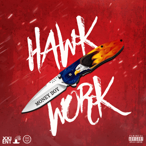 Hawk Work - Money Boy