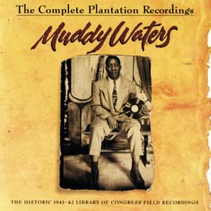 32-20 Blues - Muddy Waters