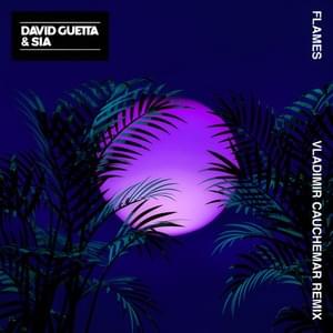 Flames (Vladimir Cauchemar Remix) - David Guetta & Sia