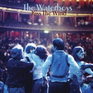 Anatomy of a Love Affair - The Waterboys