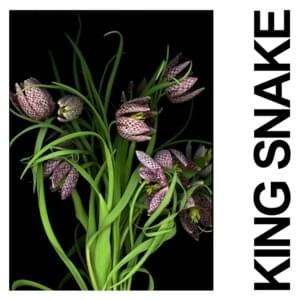 King Snake - IDLES