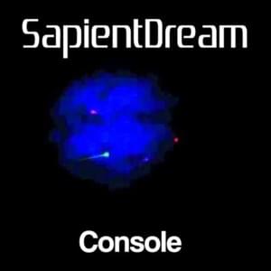 Console - ​sapientdream