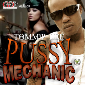 Pussy Mechanic - Tommy Lee Sparta