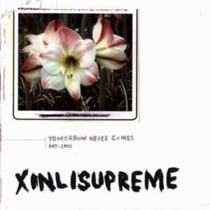 Amaryllis - Xinlisupreme