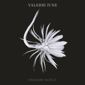 Ordinary World - Valerie June