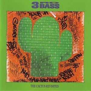 The Cactus (Remix) - 3rd Bass