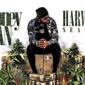 Drippin’ n’ Leakin’ - Money Man