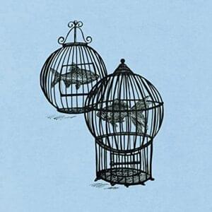 Rule #11 - My Dream, My Addiction - Fish in a Birdcage