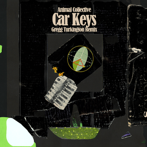 Car Keys (Gregg Turkington Remix) - Animal Collective