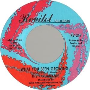 What You Been Growing - The Parliaments