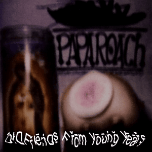 Liquid Diet - Papa Roach