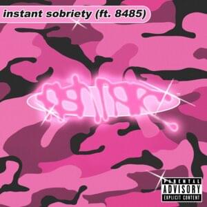 Instant Sobriety - ​fish narc (Ft. 8485)