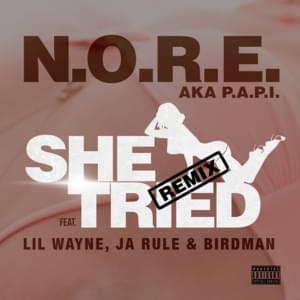 She Tried (Remix) - N.O.R.E. (Ft. Birdman, Ja Rule & Lil Wayne)