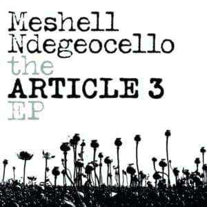 Article 3 - Meshell Ndegéocello