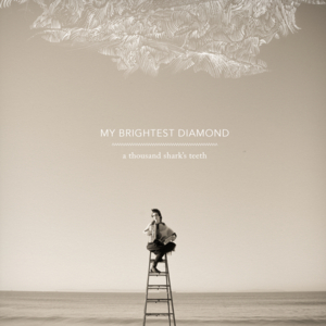 Goodbye Forever - My Brightest Diamond