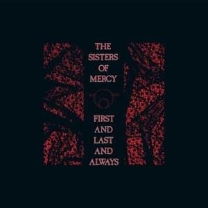 Some Kind of Stranger - The Sisters of Mercy