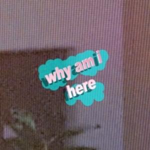 WHY AM I HERE - ​absent