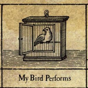 My Bird Performs - XTC