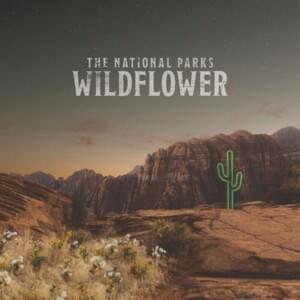 Mad Man - The National Parks