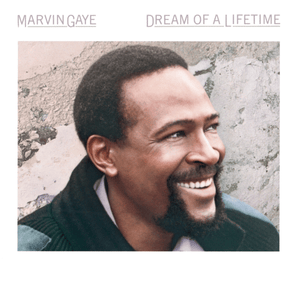 Masochistic Beauty - Marvin Gaye