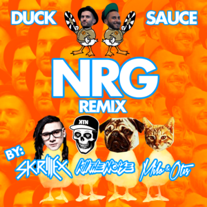 NRG (Skrillex, Kill The Noise, Milo & Otis Remix) - Duck Sauce