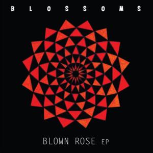 Stormy - Blossoms