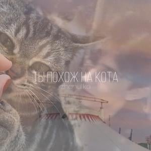 ты похож на кота (you look like a cat) - ​​zhanulka