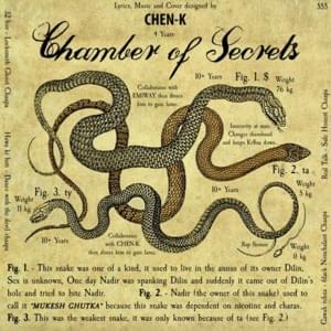 Chamber Of Secrets (Diss 18+) - CHEN-K