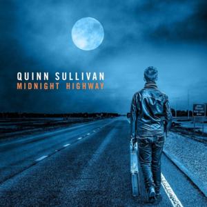 While My Guitar Gently Weeps - Quinn Sullivan