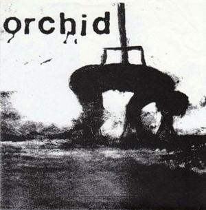 A Written Apology - Orchid