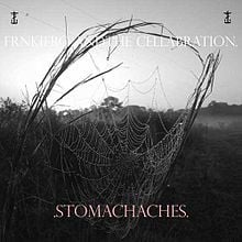 Blood Infections - Frnkiero andthe cellabration