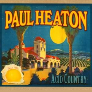 Even a Palm Tree - Paul Heaton