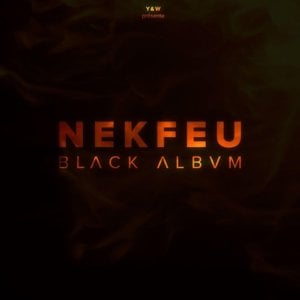 Hommage aux petites graines - Nekfeu