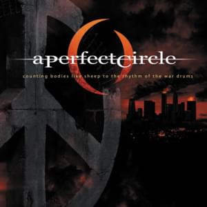 Counting Bodies Like Sheep to the Rhythm of the War Drums - A Perfect Circle